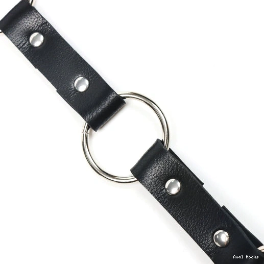 Anal Hooks 5853 Kinky Hook Anal with Leash and EverydayUse Collar 0723